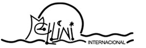 Mellini Internacional